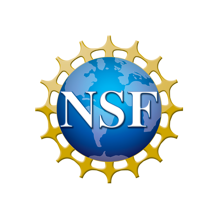 NSF logo